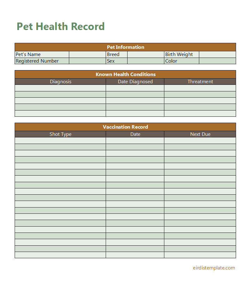 Printable pet health record template designed for tracking medications, immunizations, and routine check-ups.